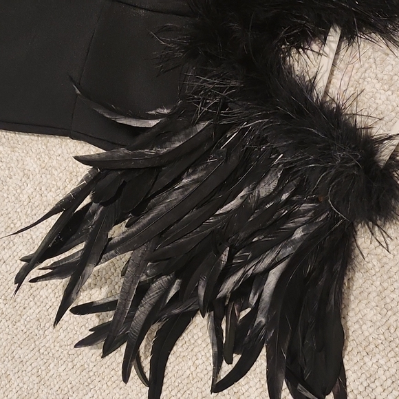 Fashion nova maxi dress with feathers - Picture 13 of 16